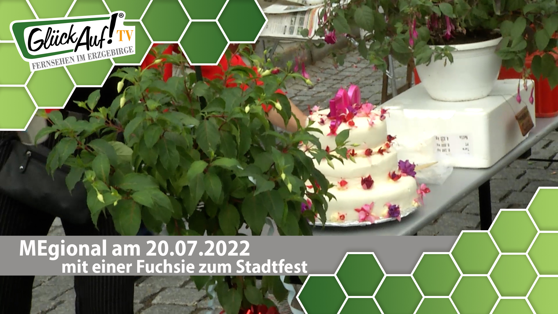 MEgional am 20. Juli 2022 - mit einer Fuchsie zum 500. Geburtstag Marienbergs