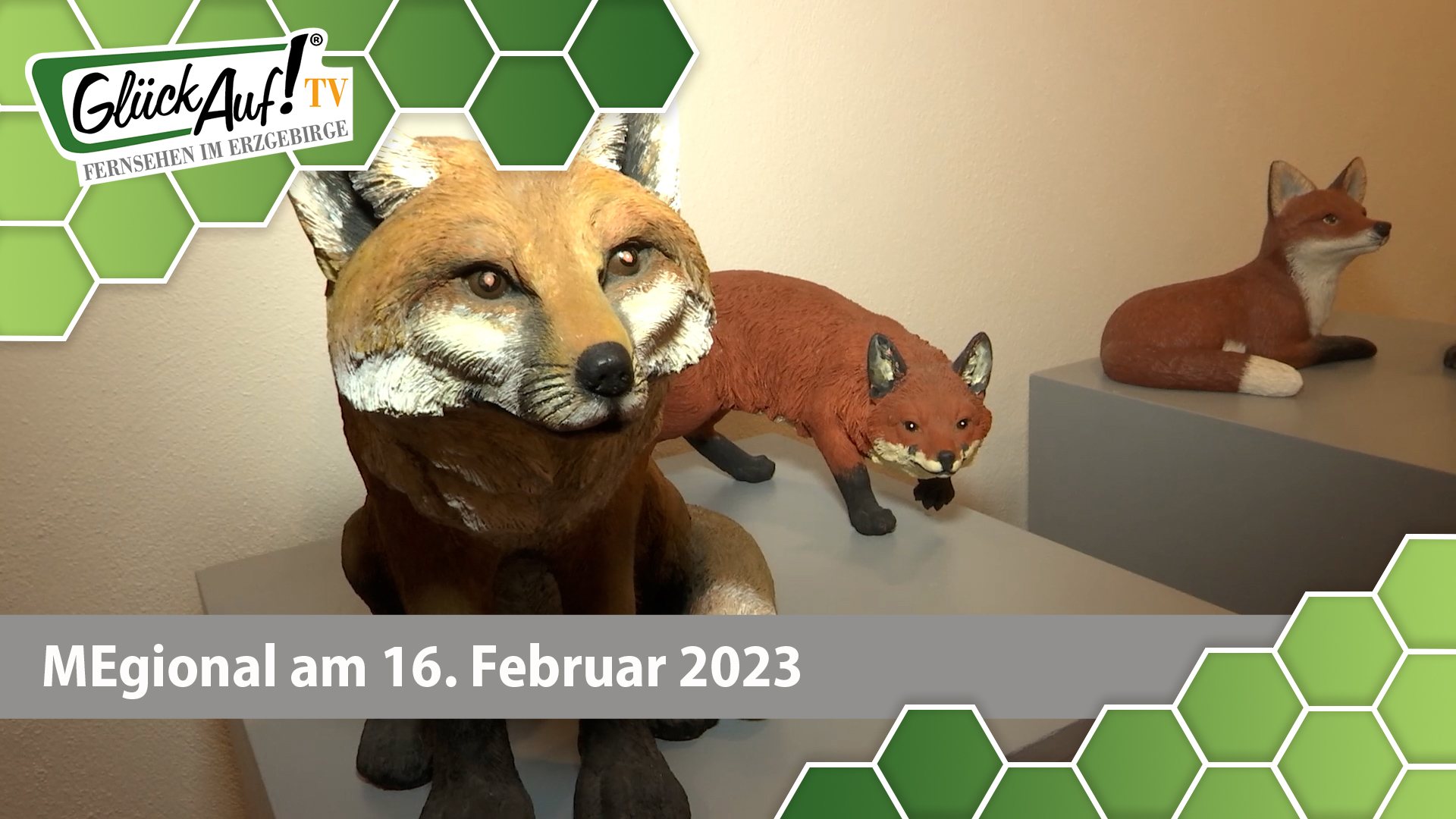 MEgional am 16. Februar 2023 - mit der Sammelfuchs Ausstellung in Olbernhau