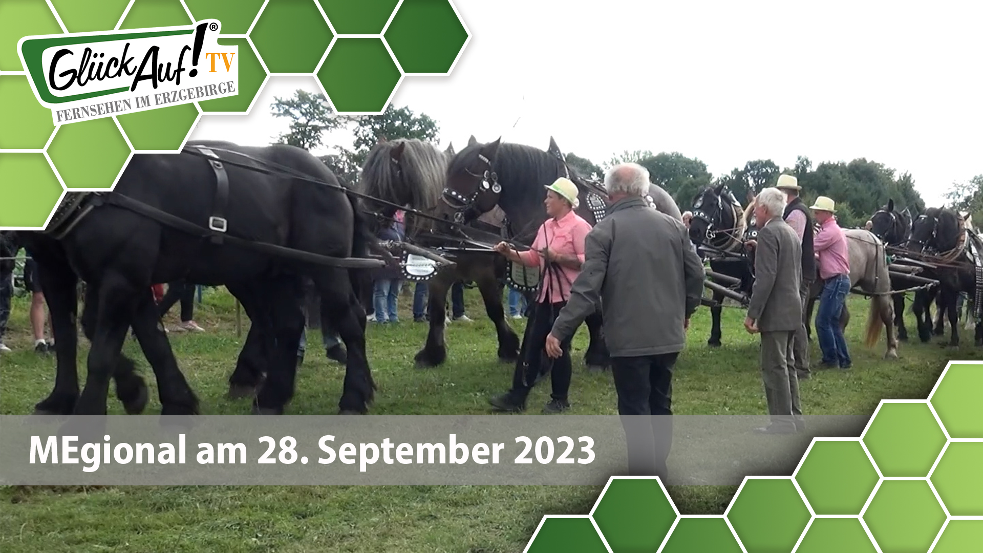 MEgional am 28. September 2023 mit dem 30. Pferdetag in Zwönitz